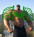 Thumbnail for version as of 20:10, 21 January 2025