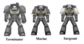 Thumbnail for version as of 20:14, 21 January 2025