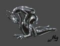 Thumbnail for version as of 20:13, 21 January 2025