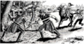 Thumbnail for version as of 20:11, 21 January 2025