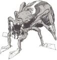 Thumbnail for version as of 20:09, 21 January 2025