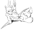 Thumbnail for version as of 17:21, 21 January 2025
