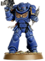 Thumbnail for version as of 20:15, 21 January 2025