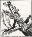 Thumbnail for version as of 20:07, 21 January 2025