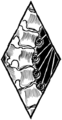Thumbnail for version as of 20:06, 21 January 2025