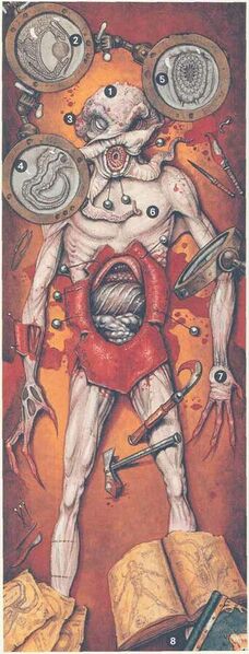 File:342px-Illithid dissection MA.jpg