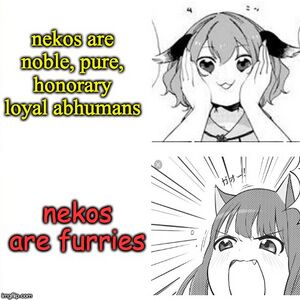 3af42n.jpg