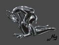 Thumbnail for version as of 20:13, 21 January 2025