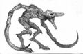Thumbnail for version as of 20:11, 21 January 2025