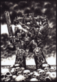 Thumbnail for version as of 18:44, 21 January 2025