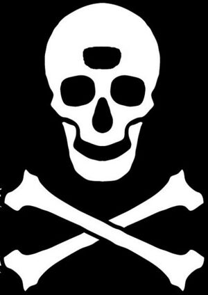 425px-Pirate Navigator House.jpg