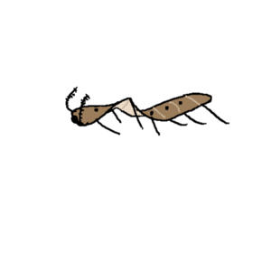 450px-1332657784038.png