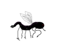 Thumbnail for version as of 20:11, 21 January 2025