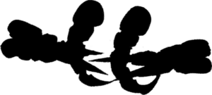 450px-Ajaba.png
