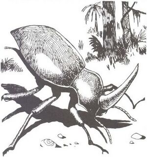 450px-Beetle MCV2.jpg