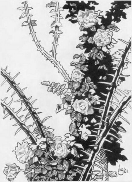 File:450px-Bloodrose DoDread.jpg