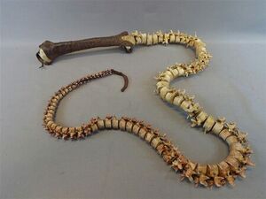 450px-Bonewhip.jpg