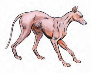 450px-Dog MM 2e.png