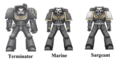 Thumbnail for version as of 20:14, 21 January 2025