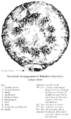 Thumbnail for version as of 20:09, 21 January 2025