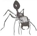 Thumbnail for version as of 20:08, 21 January 2025