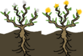 Thumbnail for version as of 20:11, 21 January 2025
