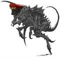 Thumbnail for version as of 20:12, 21 January 2025