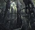 Thumbnail for version as of 20:12, 21 January 2025