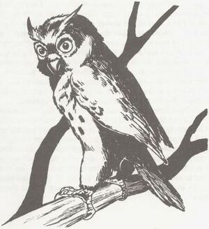 450px-Owl MC1.jpg