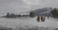 Thumbnail for version as of 20:15, 21 January 2025
