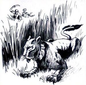 450px-Thylacine MC3.jpg