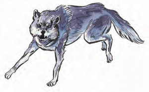 450px-Wolf MM 2e.png