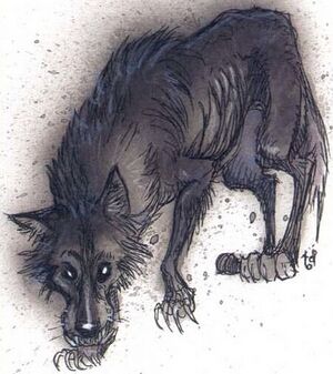 450px-Zombie wolf MCAV1.jpg