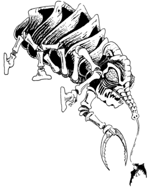 478px-Cave fisher A4 2.png