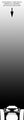 Thumbnail for version as of 20:06, 21 January 2025