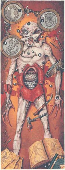 File:480px-Illithid dissection MA.jpg
