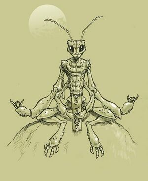 490px-Thri-kreen meditate.jpg