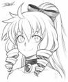 Thumbnail for version as of 20:16, 21 January 2025
