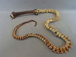 500px-Bonewhip.jpg
