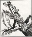 Thumbnail for version as of 20:07, 21 January 2025