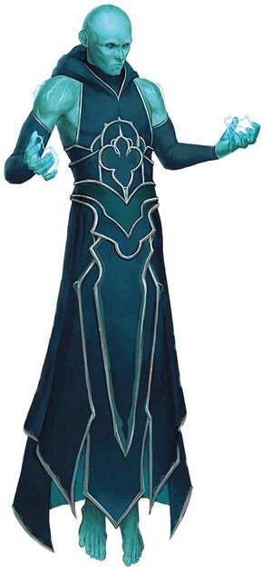 5e Galvan Magen.jpeg