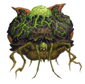 600px-Aranea B2 PF.png