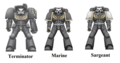 Thumbnail for version as of 20:14, 21 January 2025