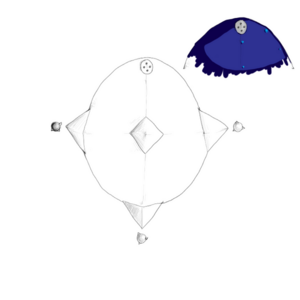 600px-Fifth-1.png