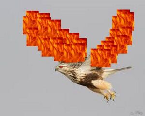 600px-FireHawk.jpg