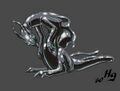 Thumbnail for version as of 20:13, 21 January 2025