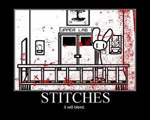 600px-Stitches blends.jpg