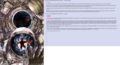 Thumbnail for version as of 20:11, 21 January 2025