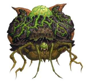 640px-Aranea B2 PF.png