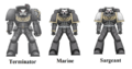 Thumbnail for version as of 20:14, 21 January 2025